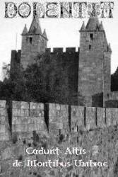 Dolentia : Cadunt Altis de Montibus Umbrae